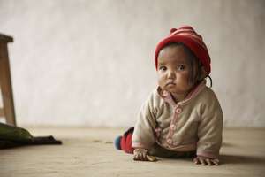 Dolpani Baby