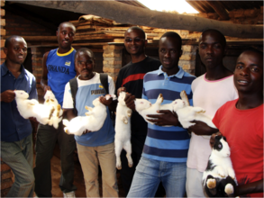 Rabbit project for Anti-HIV/AIDS youth club