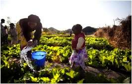 A garden that helps to improve nutrition