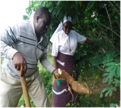 Farming