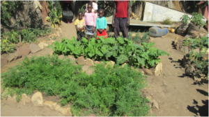 Family Garden