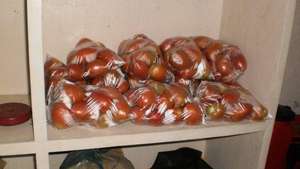 Tomatoes ready for sale