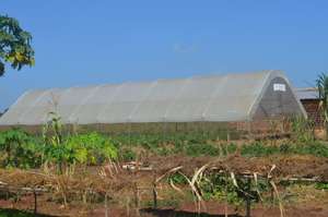 Greenhouse