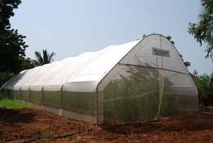 Outside of Dream Greenhouse
