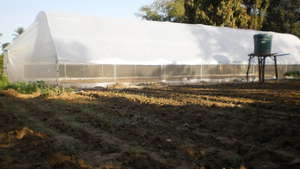 Greenhouse