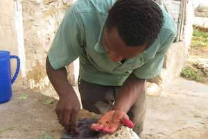 Saving seeds for the next crop