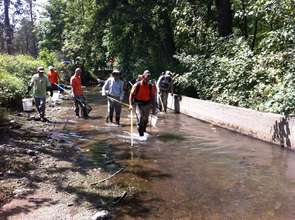 No more fish rescue efforts like this one