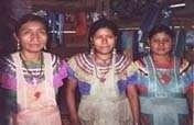 Yochin Tayel K'inal Coffee Cooperative in Mexico