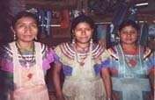 Yochin Tayel K'inal Coffee Cooperative in Mexico