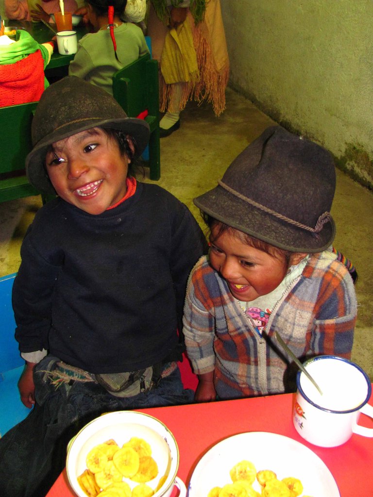 The Kichwa / Peace Corps Sustainable House Project