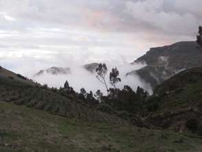 The High Andean Paramo of Guangaje