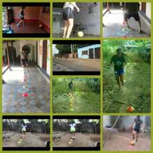 Virtual team practices during Covid-19