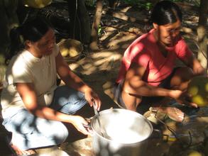 Preparing refreshing coconut juice