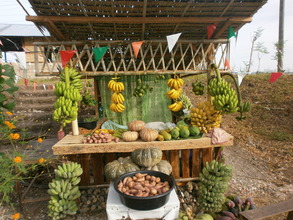 booths showcasing harvests of a cluster of farmers