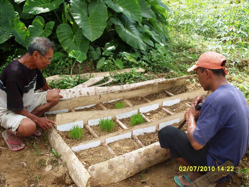 Ensure Food for 500 Poor Filipino Villages