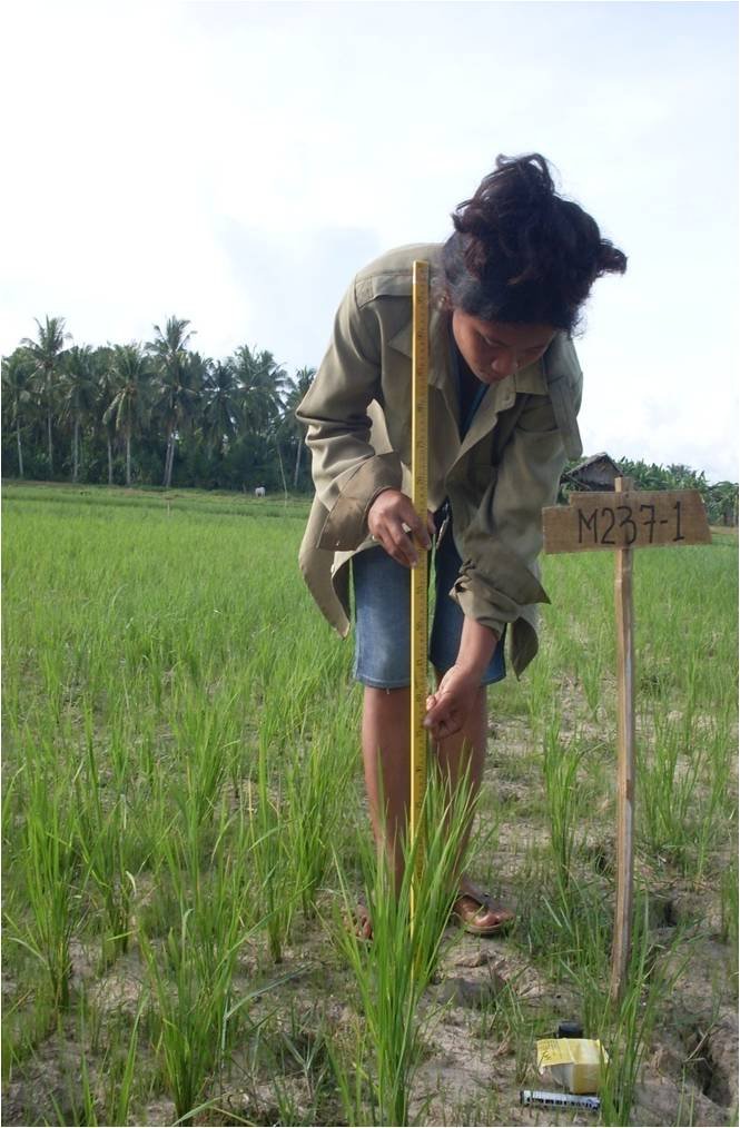 Ensure Food for 500 Poor Filipino Villages