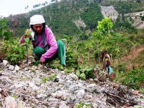 Woman farmer in Cebu province