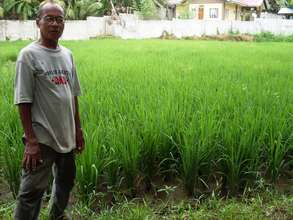 Domingo Bayutlang, Filipino farmer cooperator