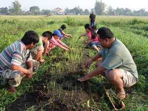 Farmers' Training on Organic Rice Production