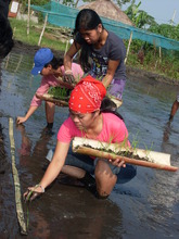 Farmers' Training on Organic Rice Production