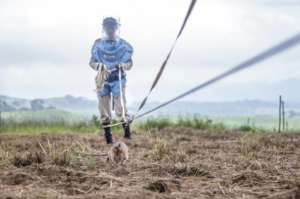 Jumanne the Landmine Detection Rat and her trainer