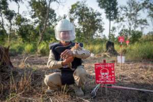 Landmine Detection : A HeroRAT and Handler