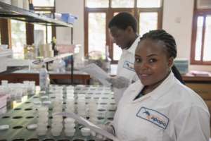 APOPO colleague Marygiven preparing sputum samples