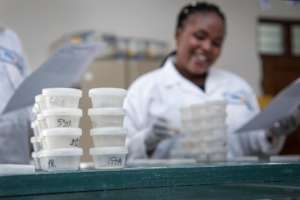 Sputum samples ready for testing