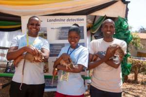 APOPO staff show off HeroRATs at agriculture shows