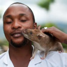 TB HeroRAT Chewa and Ethan