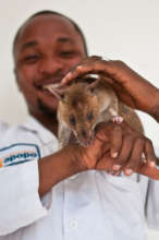 HeroRAT and trainer