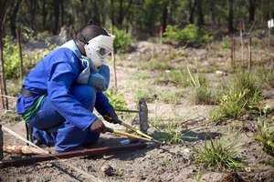 Abu helps clear Mozambique of landmines