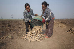 Free to work the land