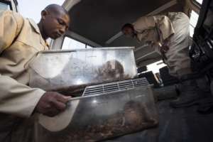 Home time after a day well done.