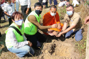 Planting seedlings around the former minefield.