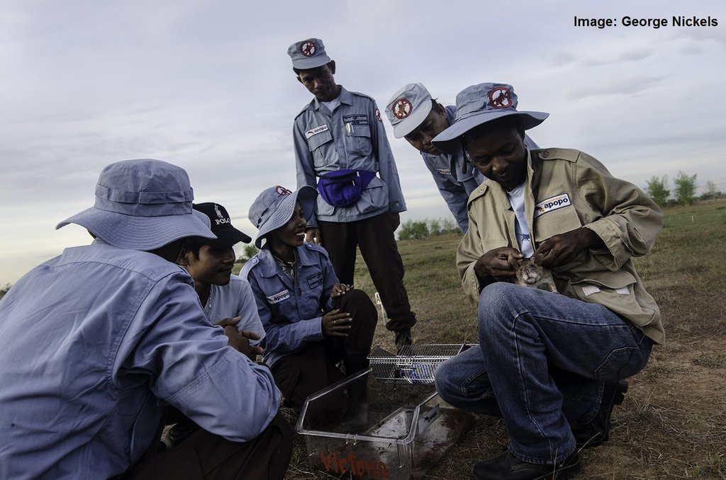 The HeroRATs arrived in Cambodia