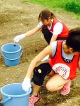 Ogatsu. Removing rocks from soil for the new field