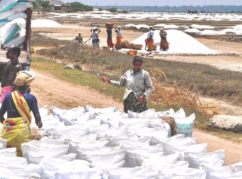 Enhance health of 900 SaltPan Women in South India