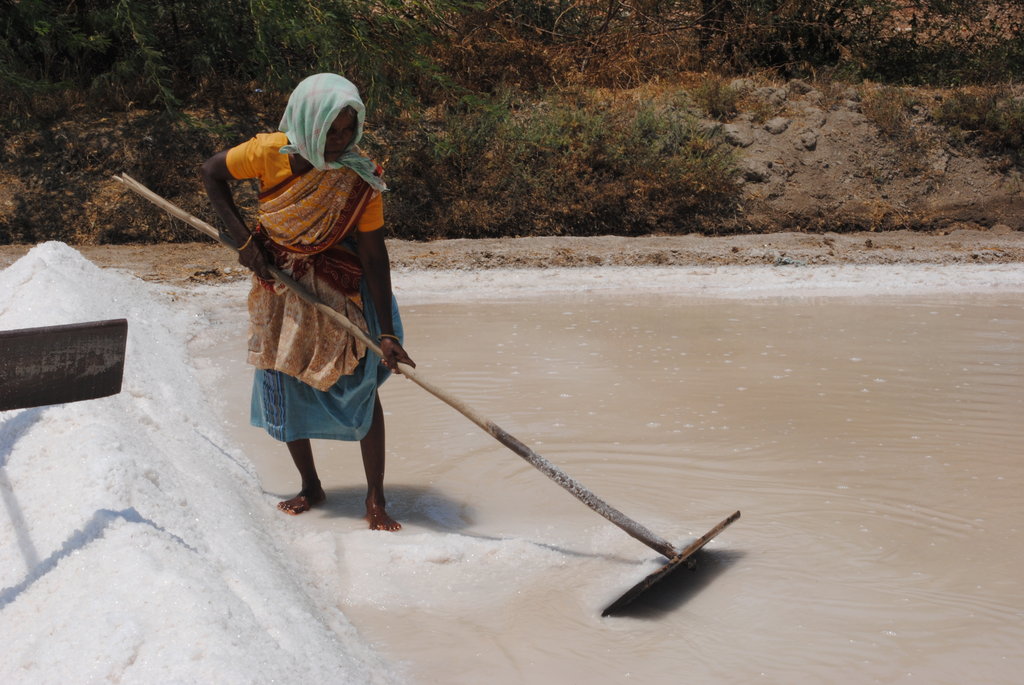 Enhance health of 900 SaltPan Women in South India