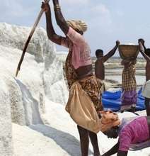 Enhance health of 900 SaltPan Women in South India