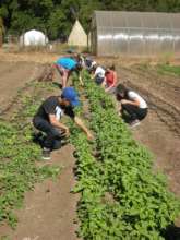On the Farm