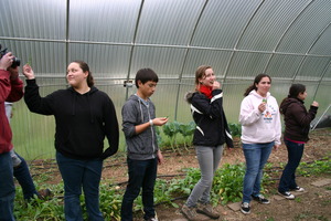 Reconnecting to our Food