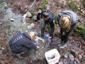 Environmental Science in the Creek