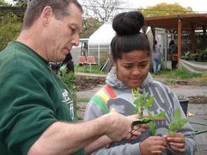 Bill, Student and Plant Start