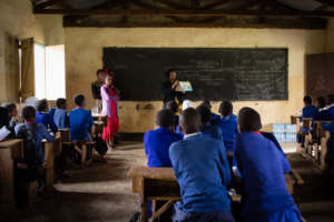 Scholars explain malaria
