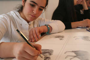 Working hard at Yuzuncu Yil University