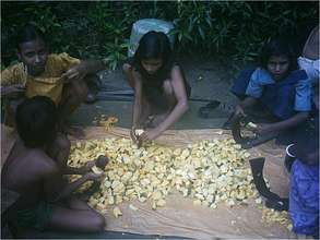 Help the inhabitants of the delta Ganges.