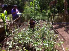 Mentor visits family garden