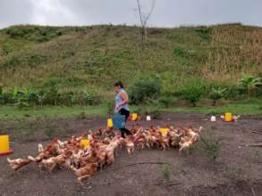 AO mentor feeding the chickens in Casa Productiva
