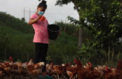 Supporting indigenous mentors to reach more girls